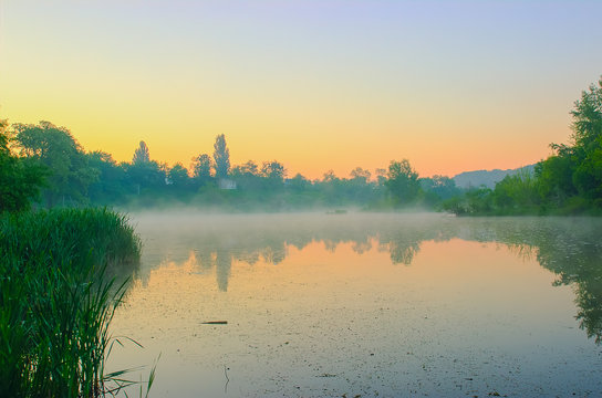 Sunrise on a foggy morning at Swamp