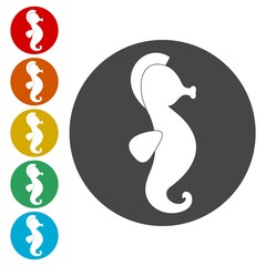 Sea horse icons set - vector illustration 