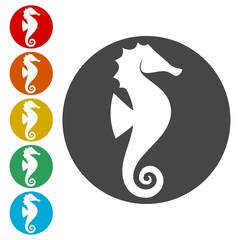 Sea horse icons set - vector illustration 