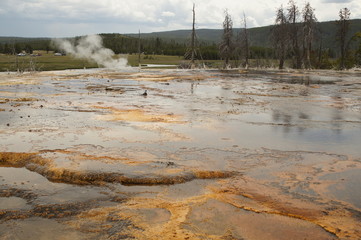 Landschaft im Yellowstone NP