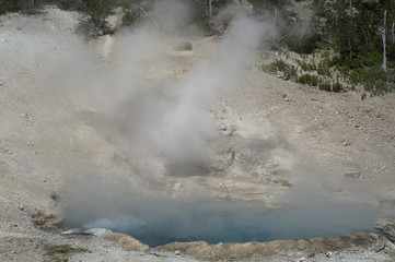 Geysir im Yellowstone NP