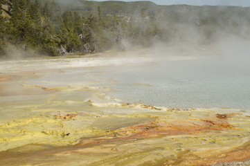 Geysir im Yellowstone NP