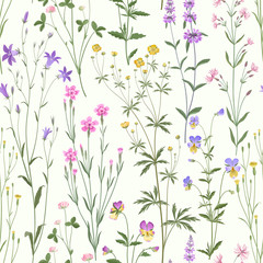 meadow flower pattern on white  background - 167581304