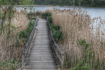 Fototapeta premium Linear Path of Lapeer