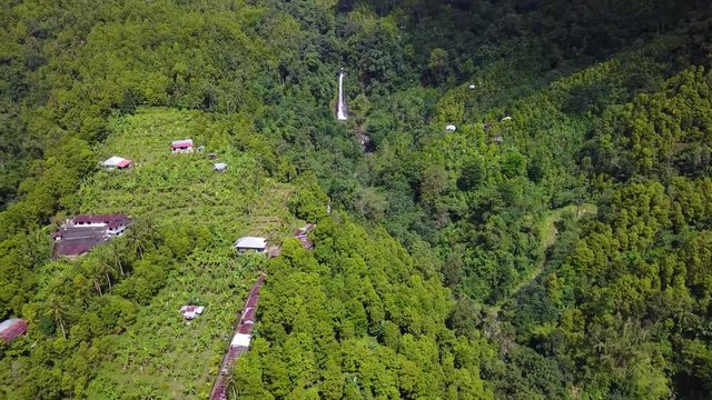 Beautiful aerial view footage of tropical forest around Gitgit waterfall in Bali, Indonesia. Shot in 4k resolution