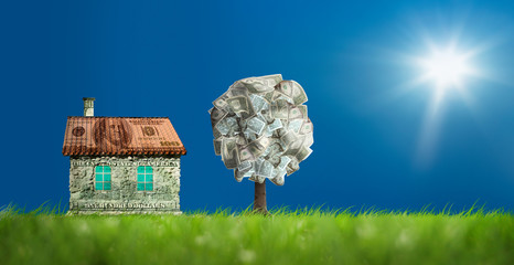 Conceptual image of money house on green landscape