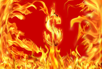 Conceptual image of burning dollar sign and fire flames