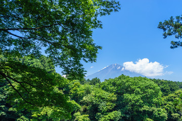 夏の富士山