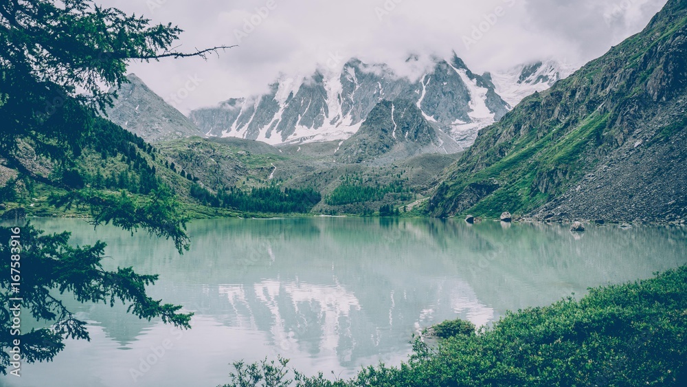 Wall mural the altai mountains