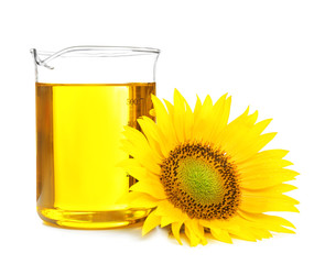 Beaker with cooking oil and sunflower on white background