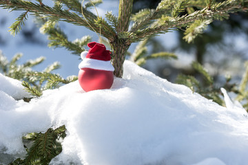 Weihnachtsbaumkugel drau&szlig;en an der Tanne