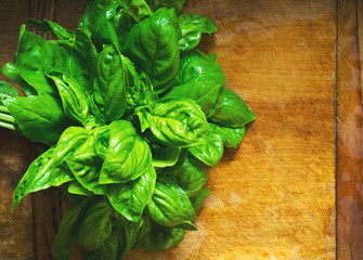 Fresh green basil on wooden table with copy space, top view