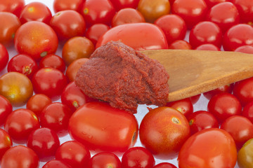 tomato sauce