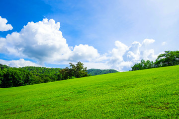 Green lawn on small hill with blue sky and white cloud in the background on sunny day