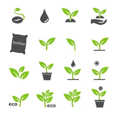 Tuinposter green plant and leave color icons set vector © guardiano007