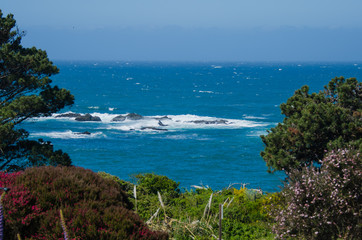 Fototapeta na wymiar View from the road of the ocean
