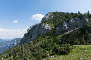 Alpine landscape