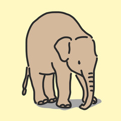 Elephant line drawing. hand drawn. vector illustration.
