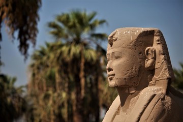 Egypt - Luxor Temple