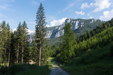 Mountain road in the Austrian Alps