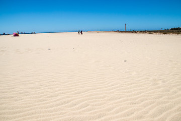 Strand auf der Insel Fuerteventura