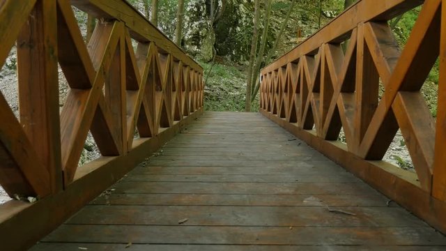 Wooden bridge in the forest slow tilt 4K 2160p 30fps UltraHD footage - Plank made passage structure 3840X2160 UHD tilting video