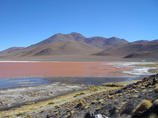 Lagunas Coloradas rouge désert uyuni Bolivie
