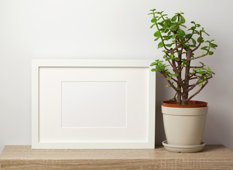 White frame mock up with plant