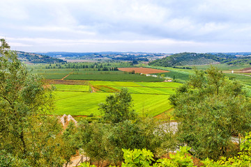 Obraz premium Panoramic view of the agricultural fields in Portugal