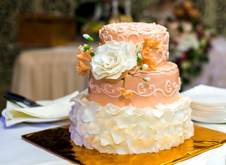 Obraz na płótnie Canvas Delicious wedding cake