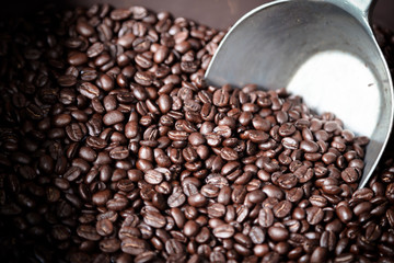 coffee beans with metal ladle