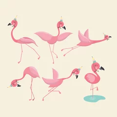 Fototapete Flamingo Pink flamingo set, vector illustration.