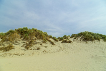 Dünenlandschaft auf Insel Borkum. Nordsee Ostfriesland.