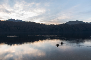 Acqua