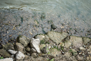 Rocks at riverside along Danube river