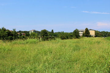 Obraz premium Green field and trees with houses into the distance
