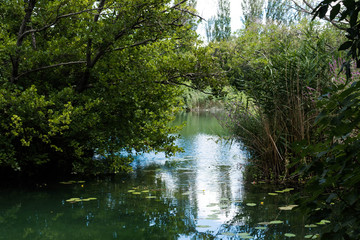 Krka