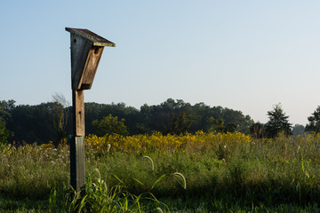 Wooden Nesting Box with Wildflowers and Trees against Blue Sky