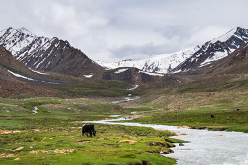Landscape around Leh district in Ladakh, India	