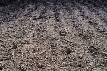 Plowed empty field. Texture of the processed earth, soils. Agriculture