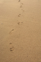 Footprints on a sandy beach