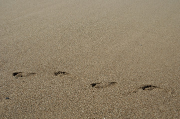 Footprints on a sandy beach