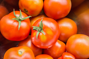 Tomaten in einer Schüssel