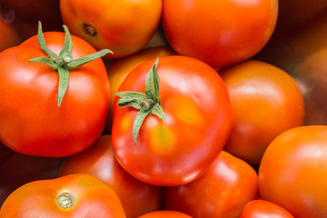 Tomaten 