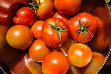 Tomaten in einer Schüssel