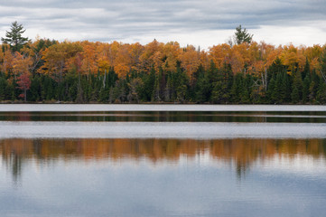 Fototapeta premium Autumn in Ontario