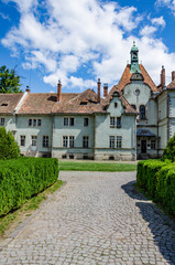 Background of Shenborn Castle in the Ukrainian carpathians