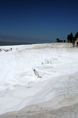 Whimsical figures are formed by flows of highly mineralized water in the salt pools of Pamukkale, Turkey