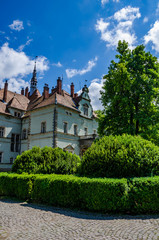 Background of Shenborn Castle in the Ukrainian carpathians