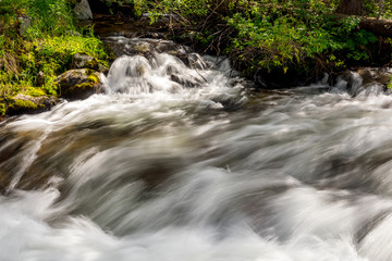 Slow motion water flowes in a creek Idaho wilderness
